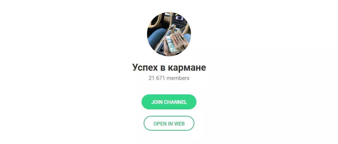 Внешний вид телеграм канала Успех в кармане