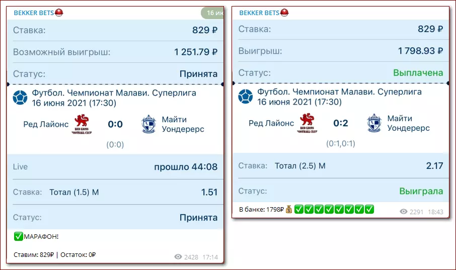 Анализ и выводы о проекте bekkermanager