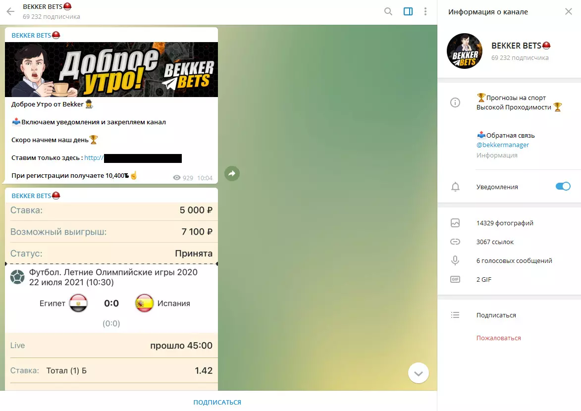 BEKKER BETS — заключение