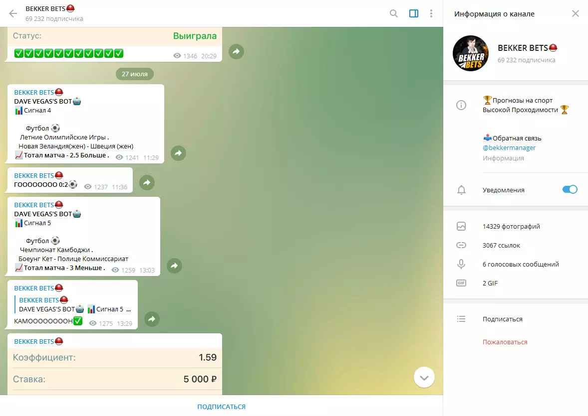 Описание BEKKER BETS