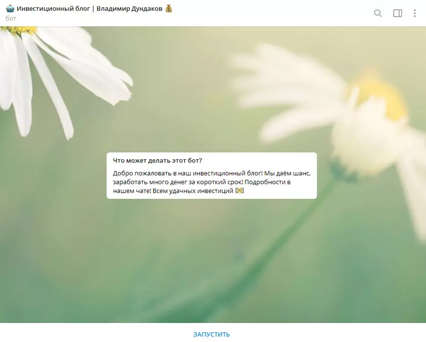 Приветственное сообщение бота