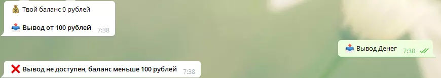 Раздел Баланс