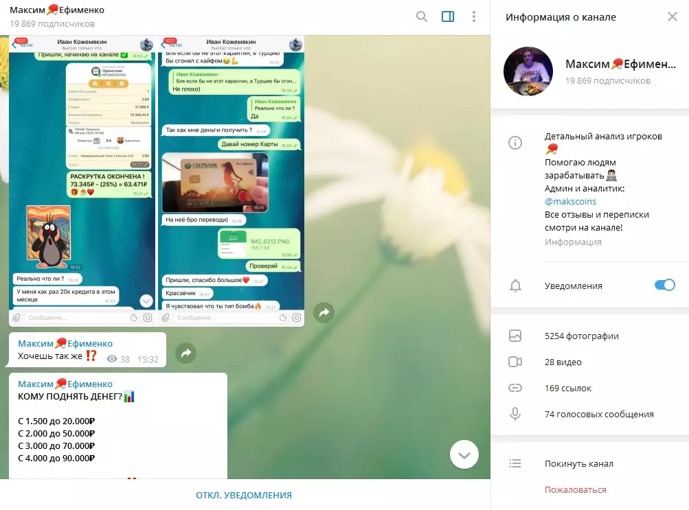 Скриншоты переписки с подписчиком
