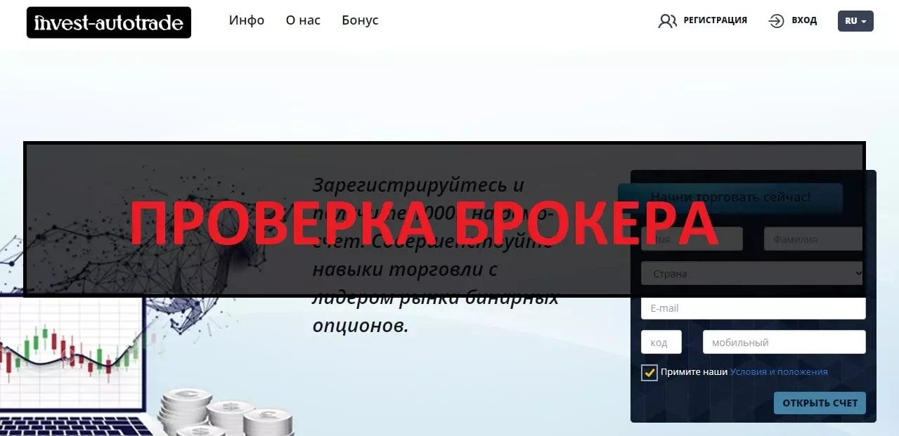 Внешний вид