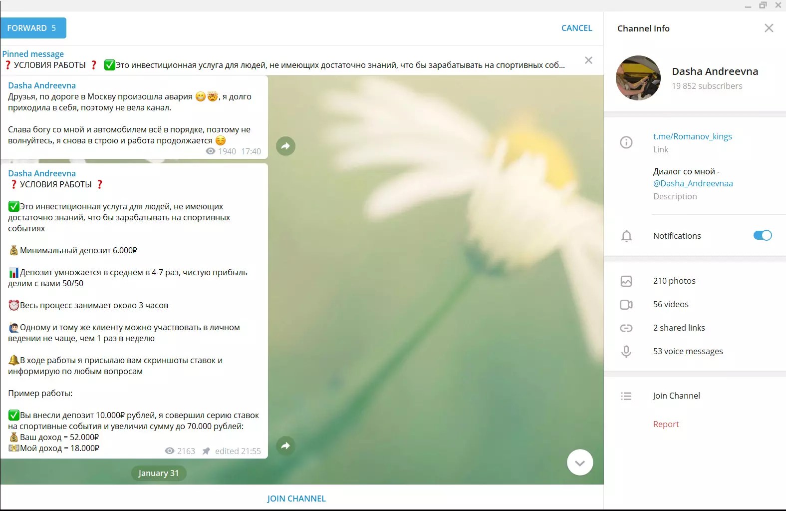 Инвестор получает первоначальный депозит и 50% от чистого дохода