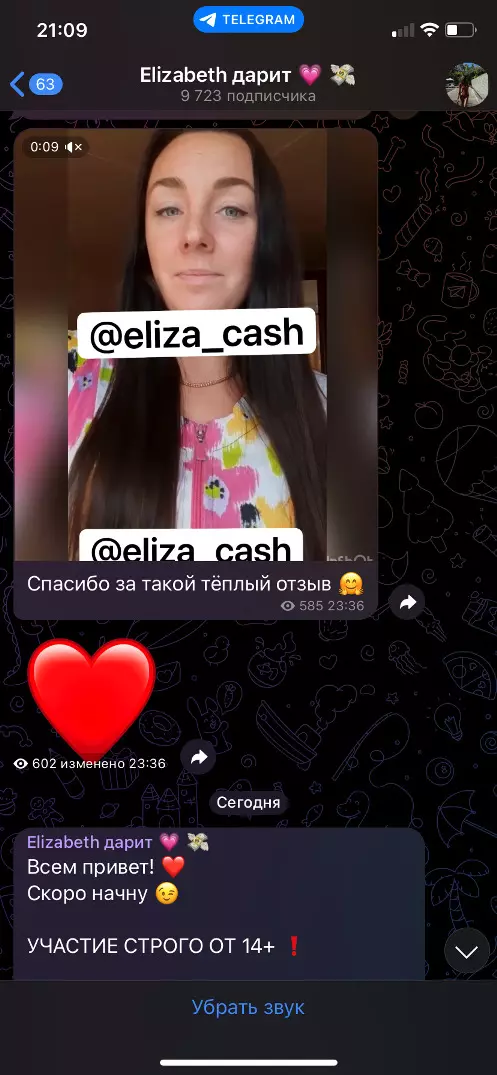 Публикация отзыва на канале Elizabeth дарит