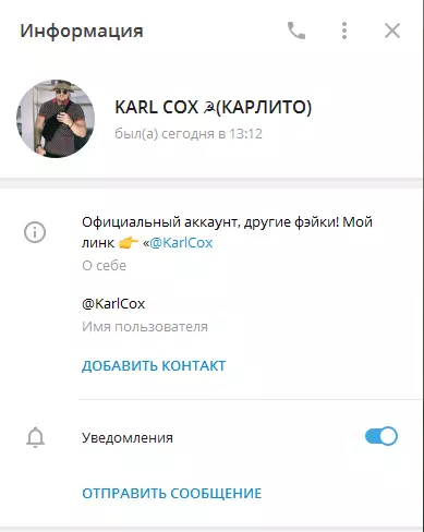 Руководит чатом