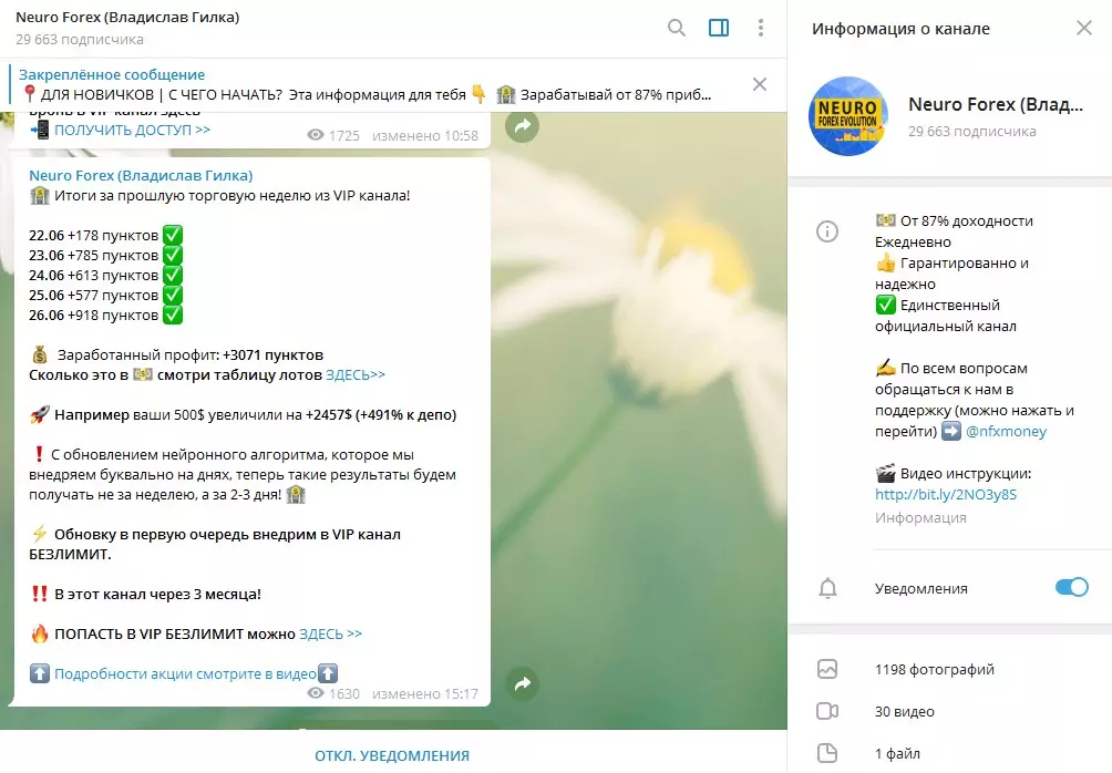 Информация о результативности сигналов представлена в формате сообщений