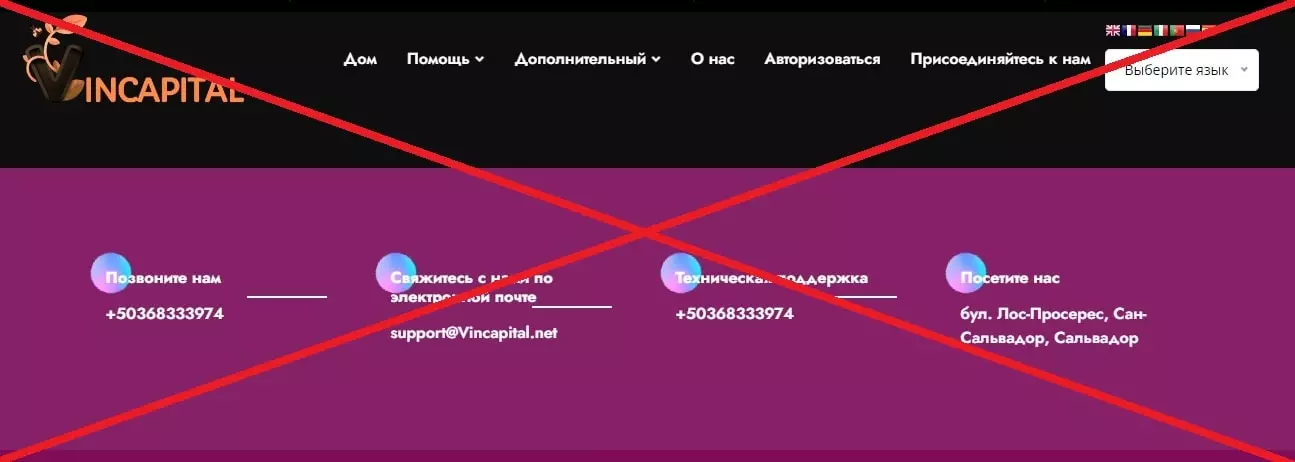 Vincapital развод