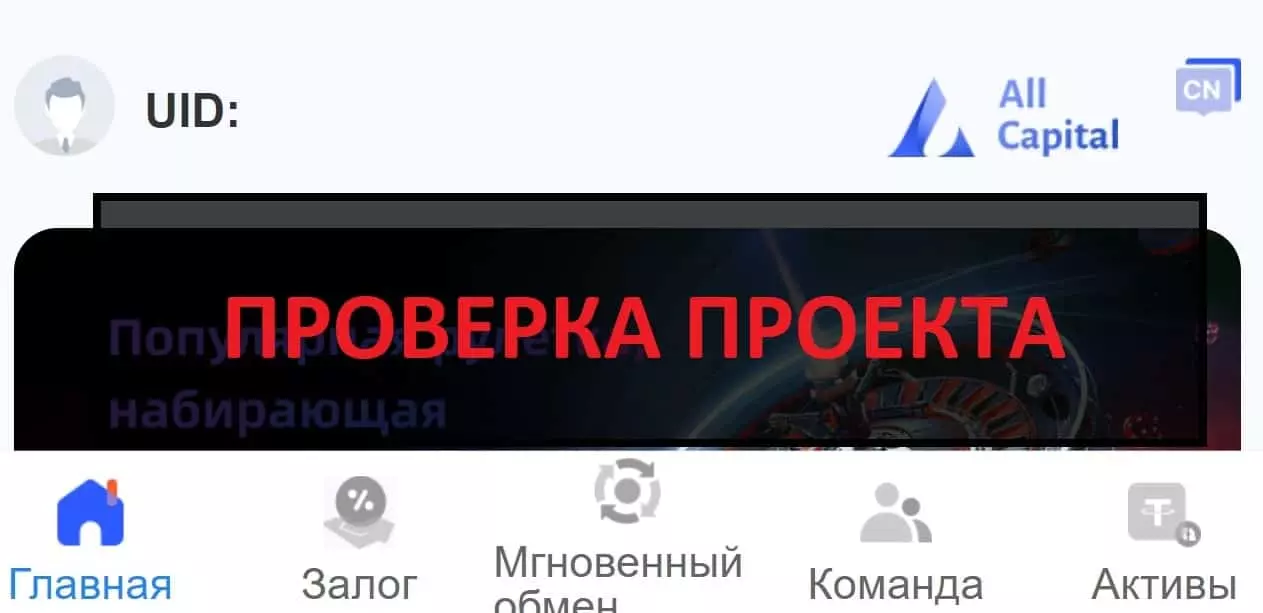Внешний вид