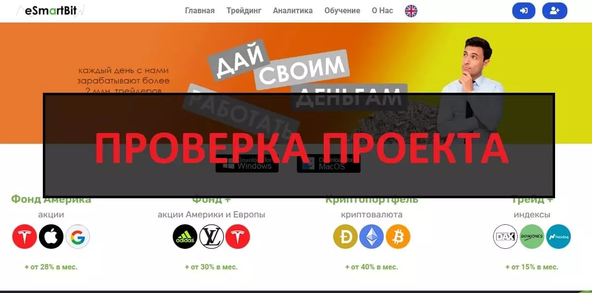 Внешний вид