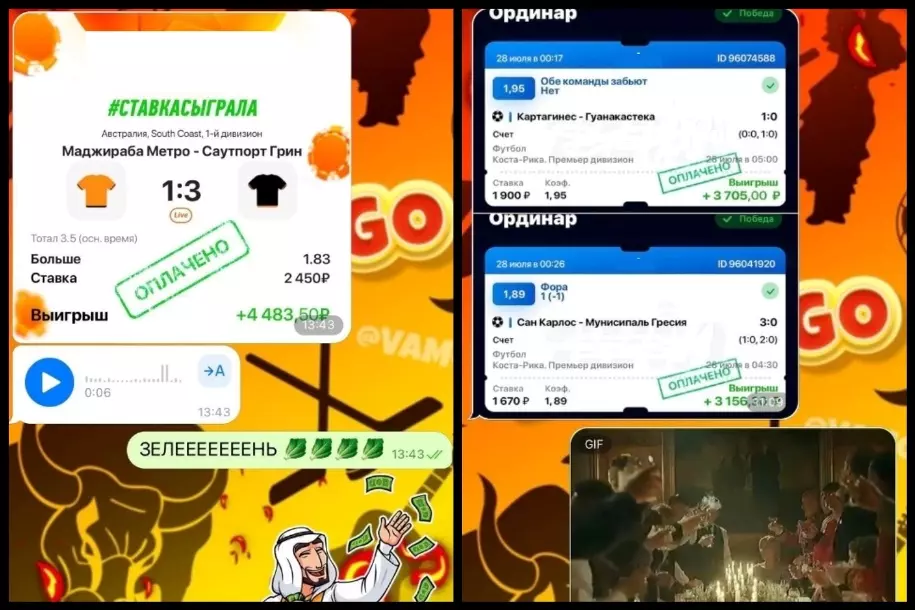 Фейковые отзывы о VAMOS GO