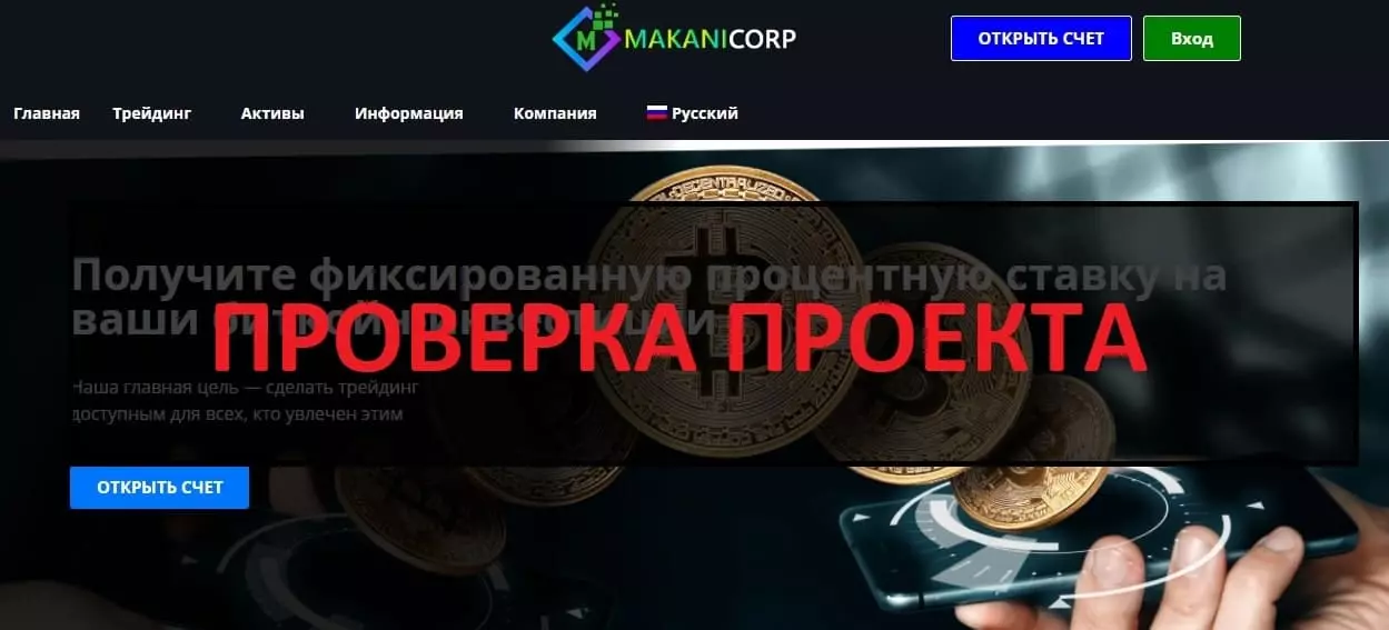 Внешний вид