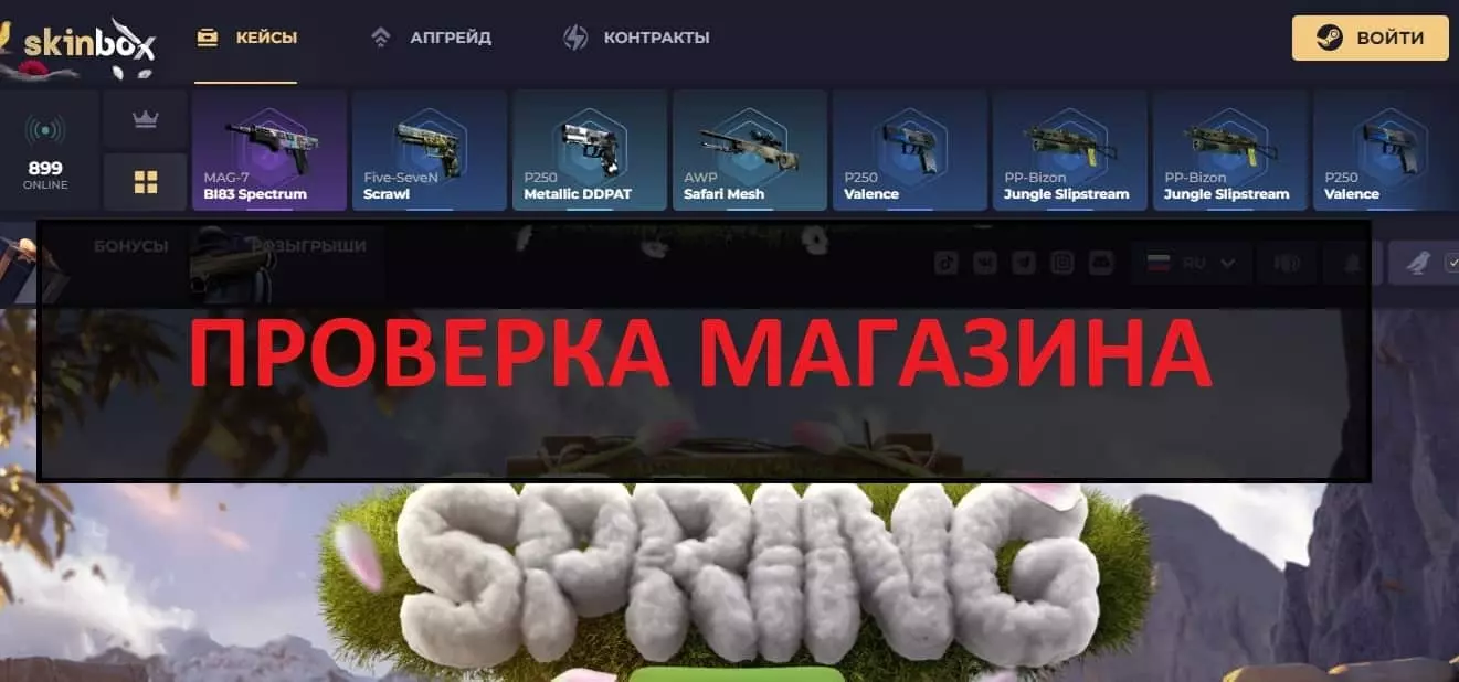Внешний вид