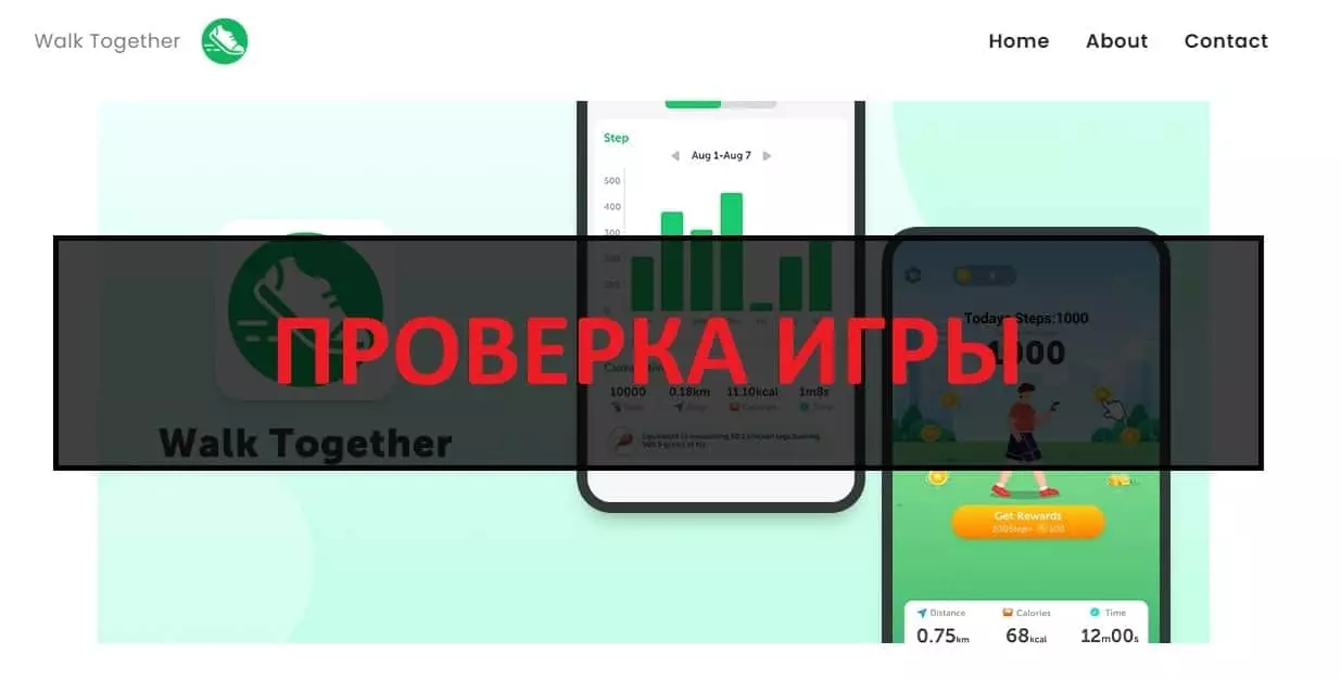 Внешний вид