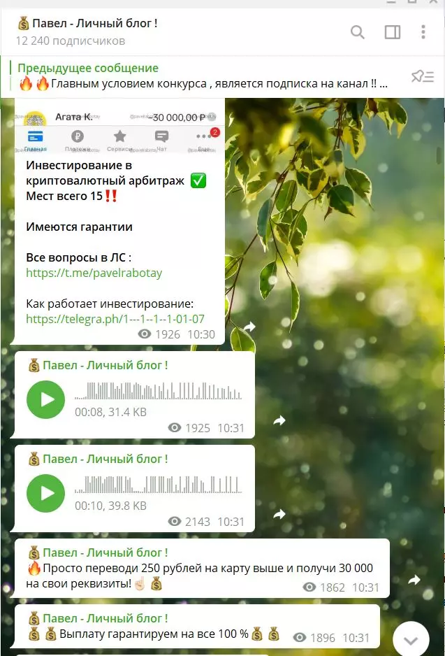 Деятельность телеграм-канала