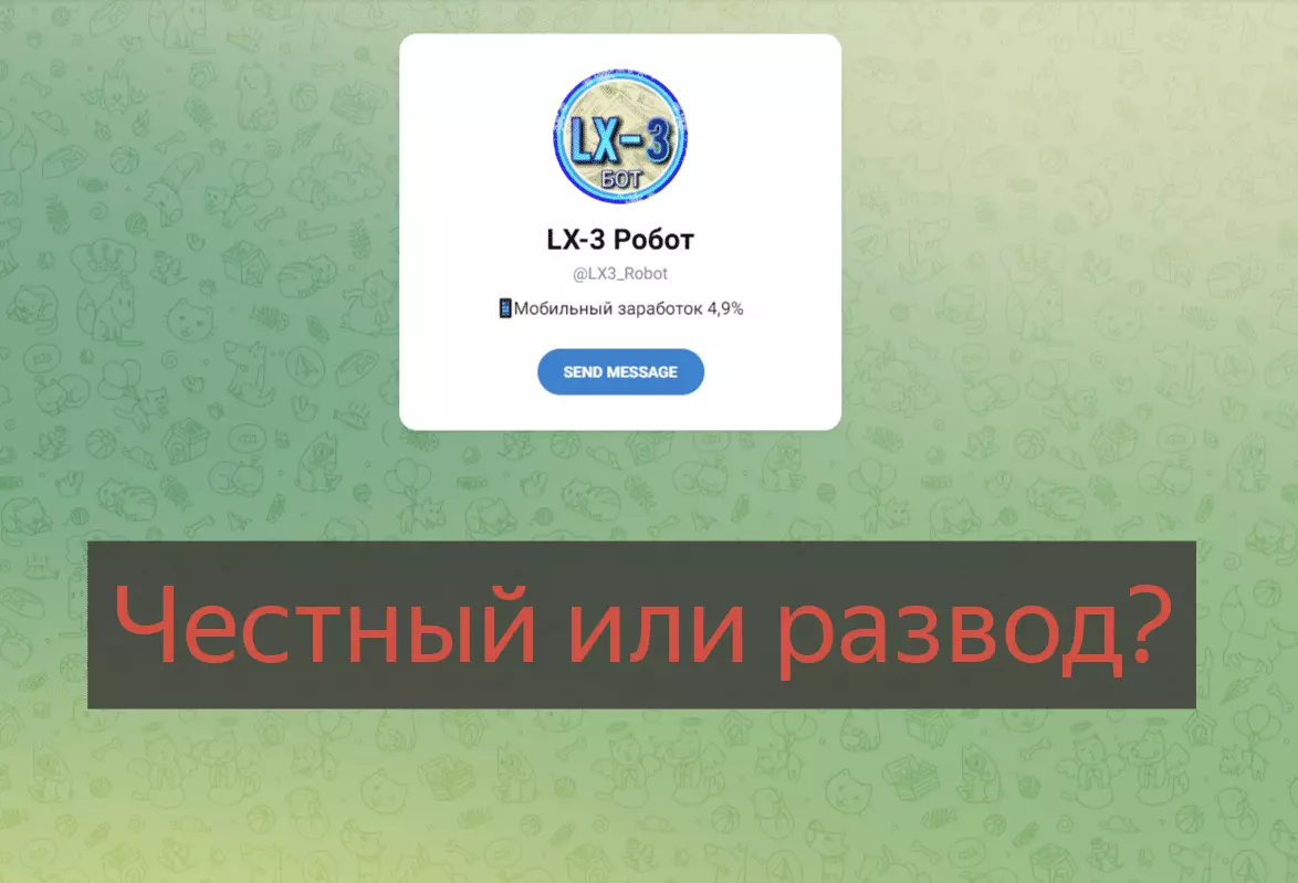 Внешний вид