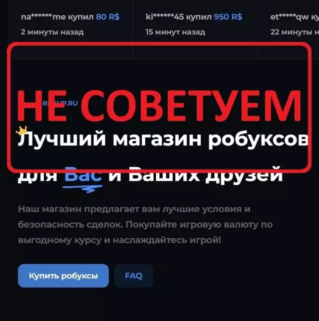 Внешний вид