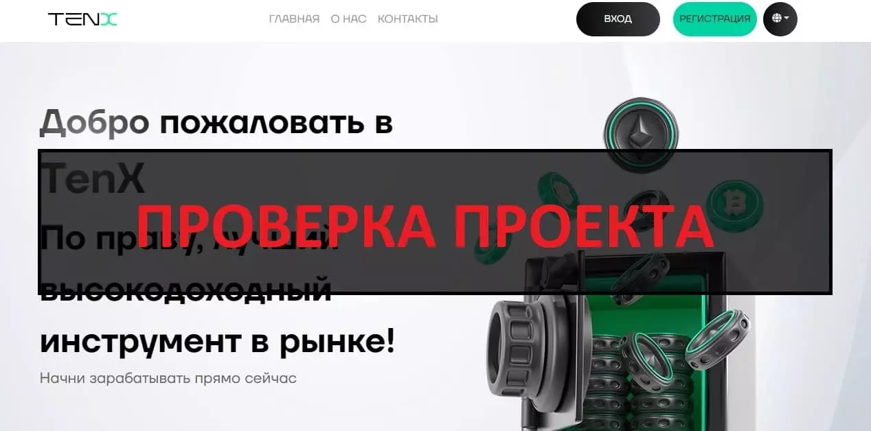 Внешний вид