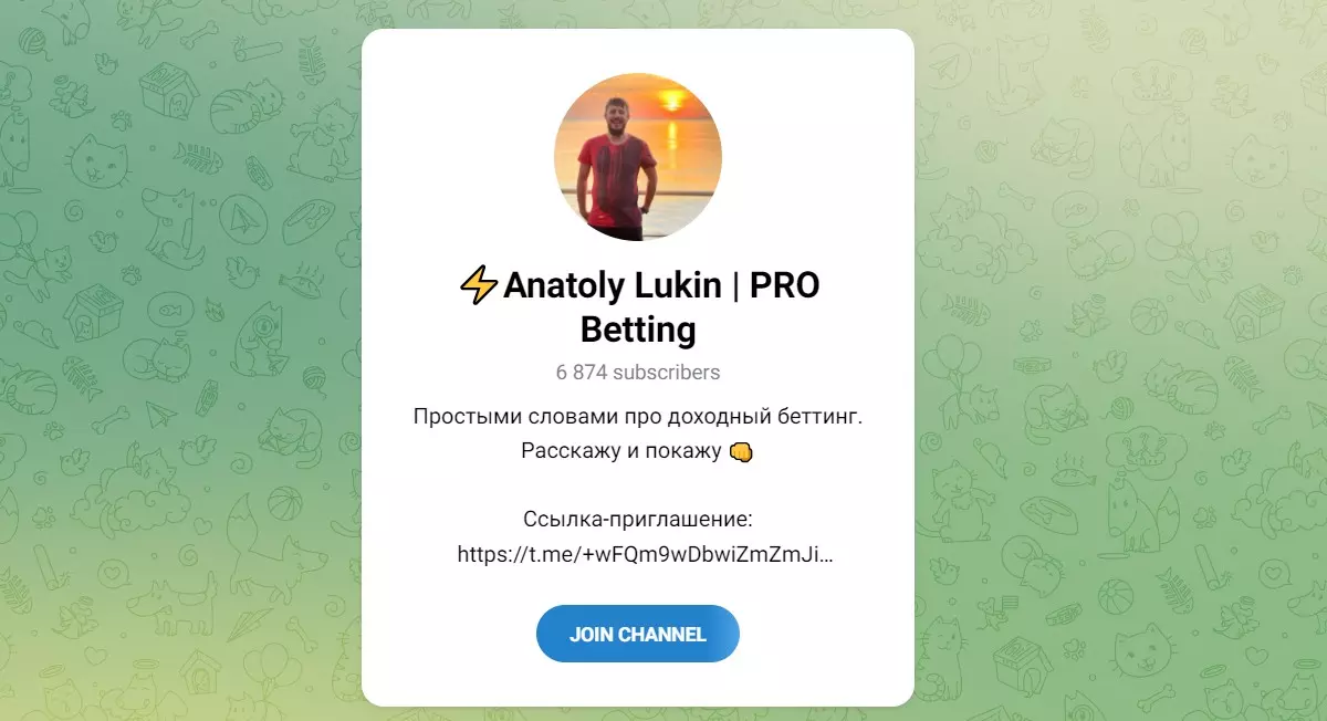 Внешний вид телеграм канала Anatoly Lukin