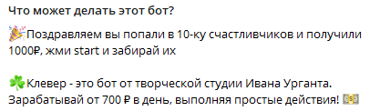 Что делает бот