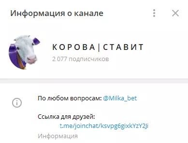 Автор проекта не открывает личные данные