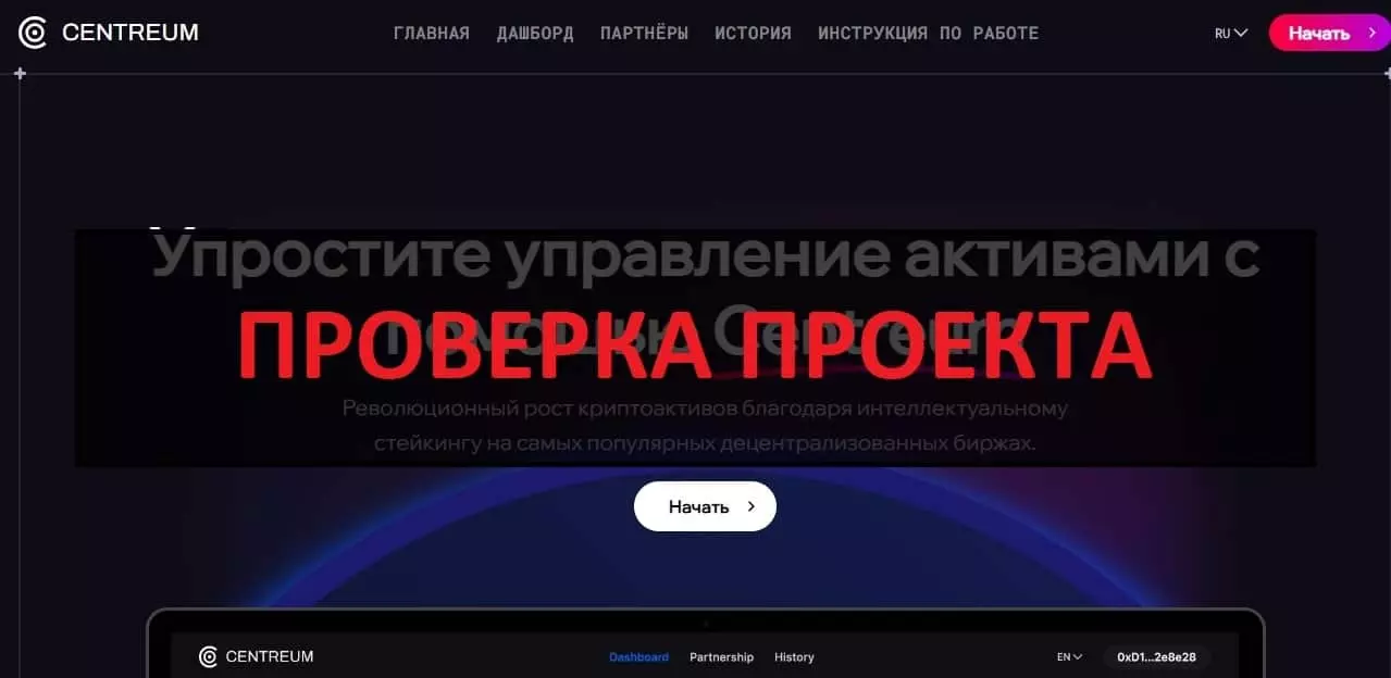 Внешний вид