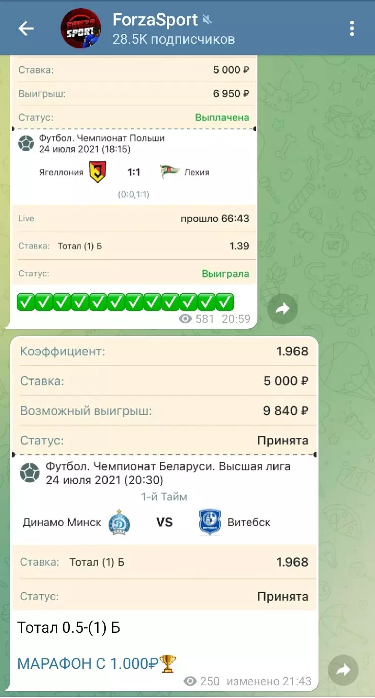 Деятельность каппера