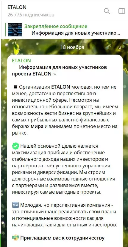 ETALON обзор