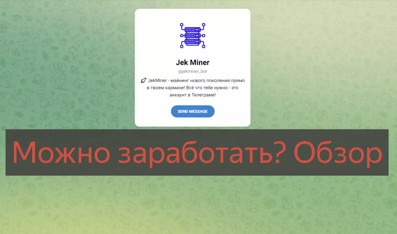 Внешний вид