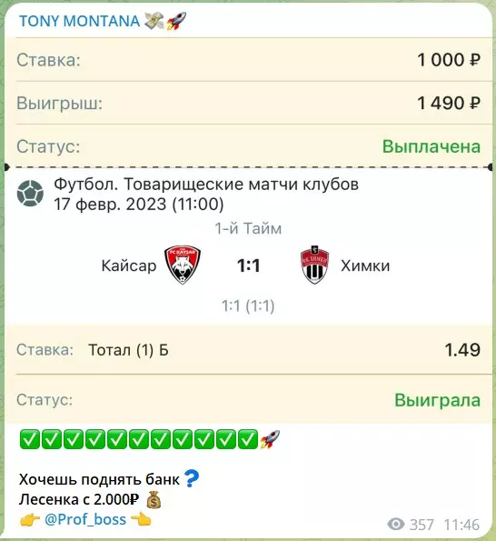 Индивидуальная работа на канале Telegram TONY MONTANA