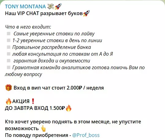 Платная подписка на канале Telegram TONY MONTANA
