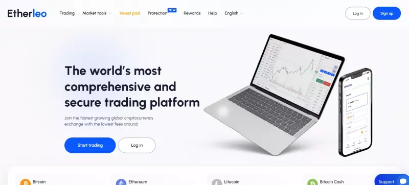 Etherleo — что это если не очередной брокер-лохотронщик и потенциальный развод? Есть опасность сотрудничества. Обзор.