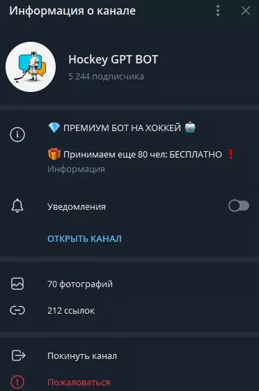 Проект Hockey GPT BOT