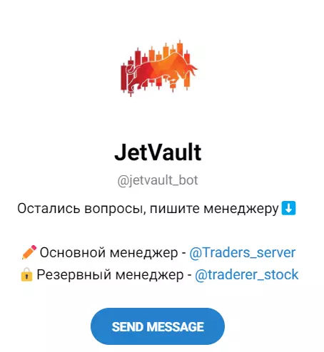 Внешний вид бота