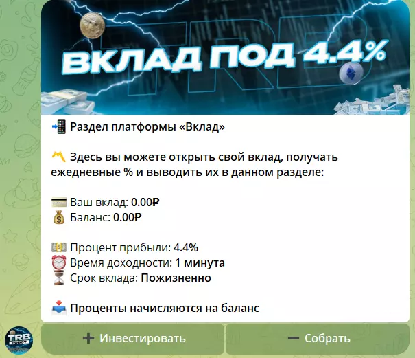 Раздел “Вклад”