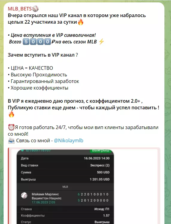 Цена VIP канала @Nikolaymlb