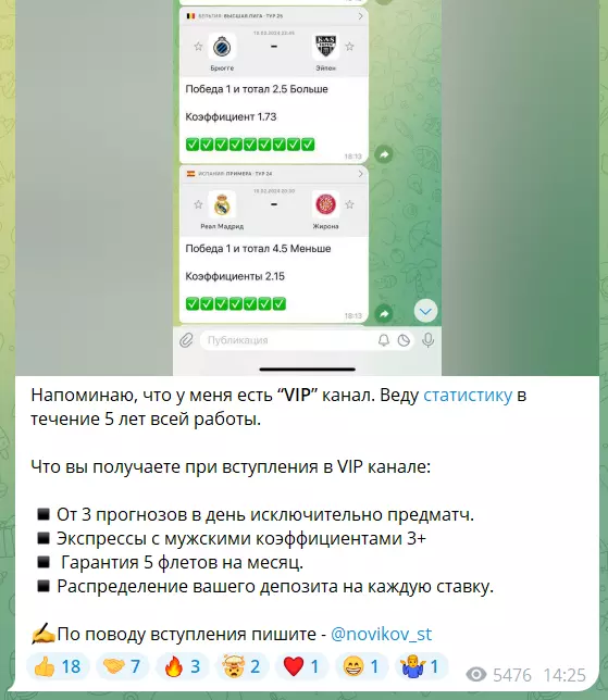 Описание VIP канала @novikov_st